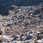 EQUO-La Palma denuncia agresión al Medio Ambiente por parte del Cabildo Insular