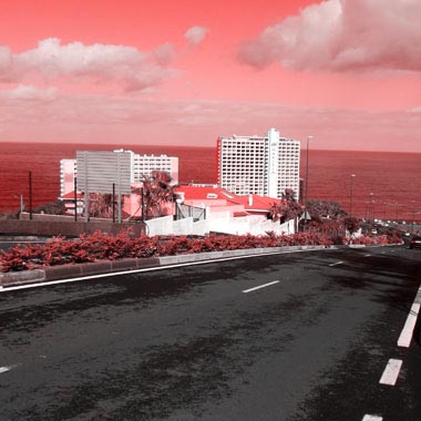 EQUO llama la atención sobre la situación de la carretera de El Burgado