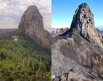 EQUO-Canarias rechaza el bochornoso intercambio de acusaciones entre las diferentes administraciones por los incendios que sufre el Archipiélago