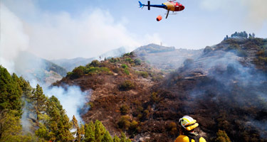 EQUO lamenta los incendios que sufre Gran Canaria y reclama mayores inversiones en la prevención y extinción