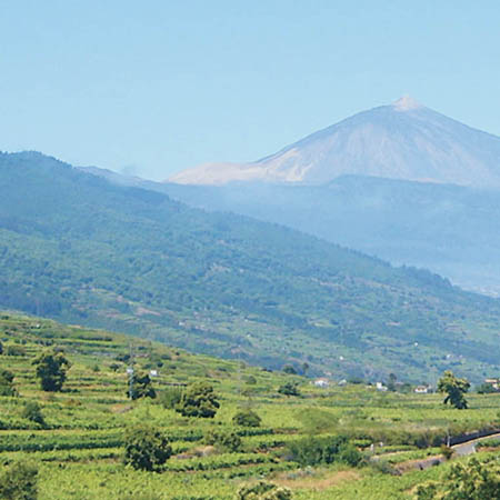 EQUO-Tenerife hace sus alegaciones políticas sobre la nueva subestación eléctrica en la comarca de Acentejo